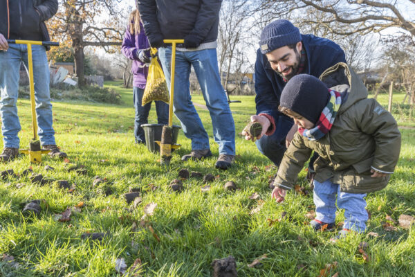 Bulb Planting on green space beside Claremont Way and Claremont Road, Brent Cross South