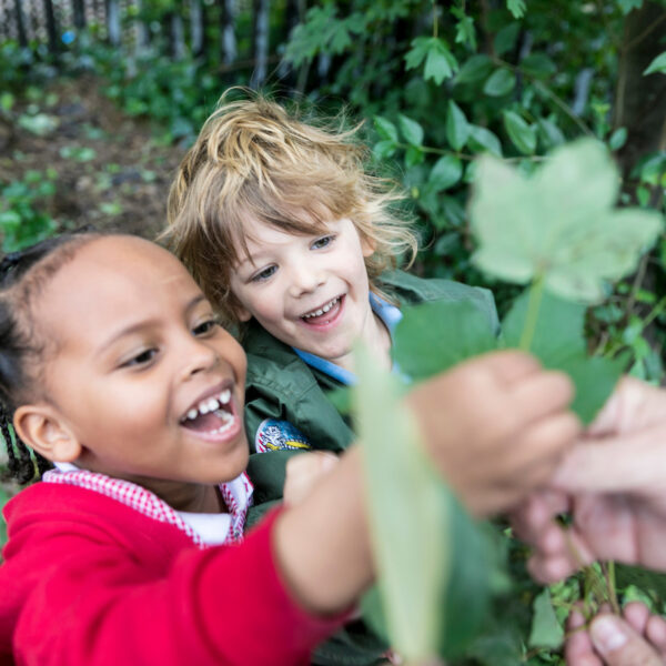 Children from King's Cross Academy in Camley Street Natural Park, King's Cross