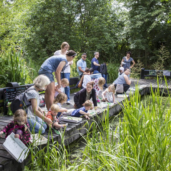 King’s Cross Academy Family Fun Day at Camley Street Natural Park at King's Cross