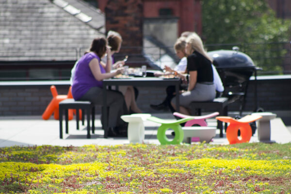 The Hive green roof, Manchester