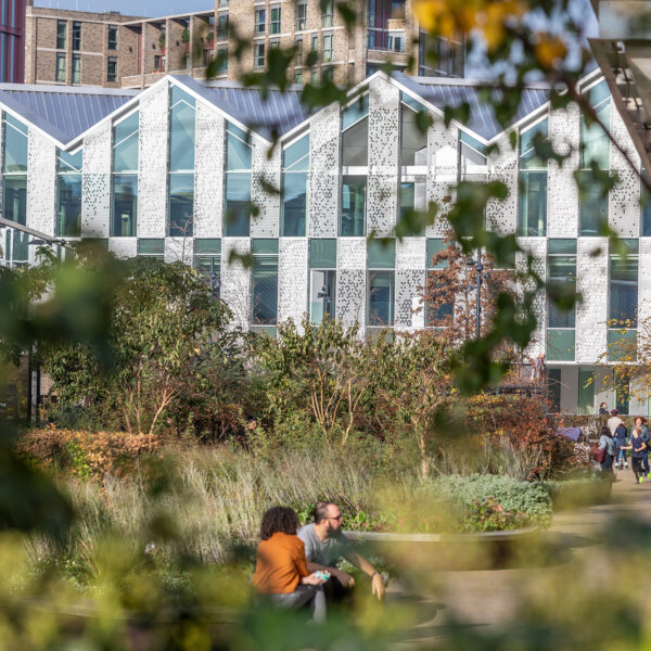 Building Q1 seen through the planting of Handyside Gardens at King's Cross